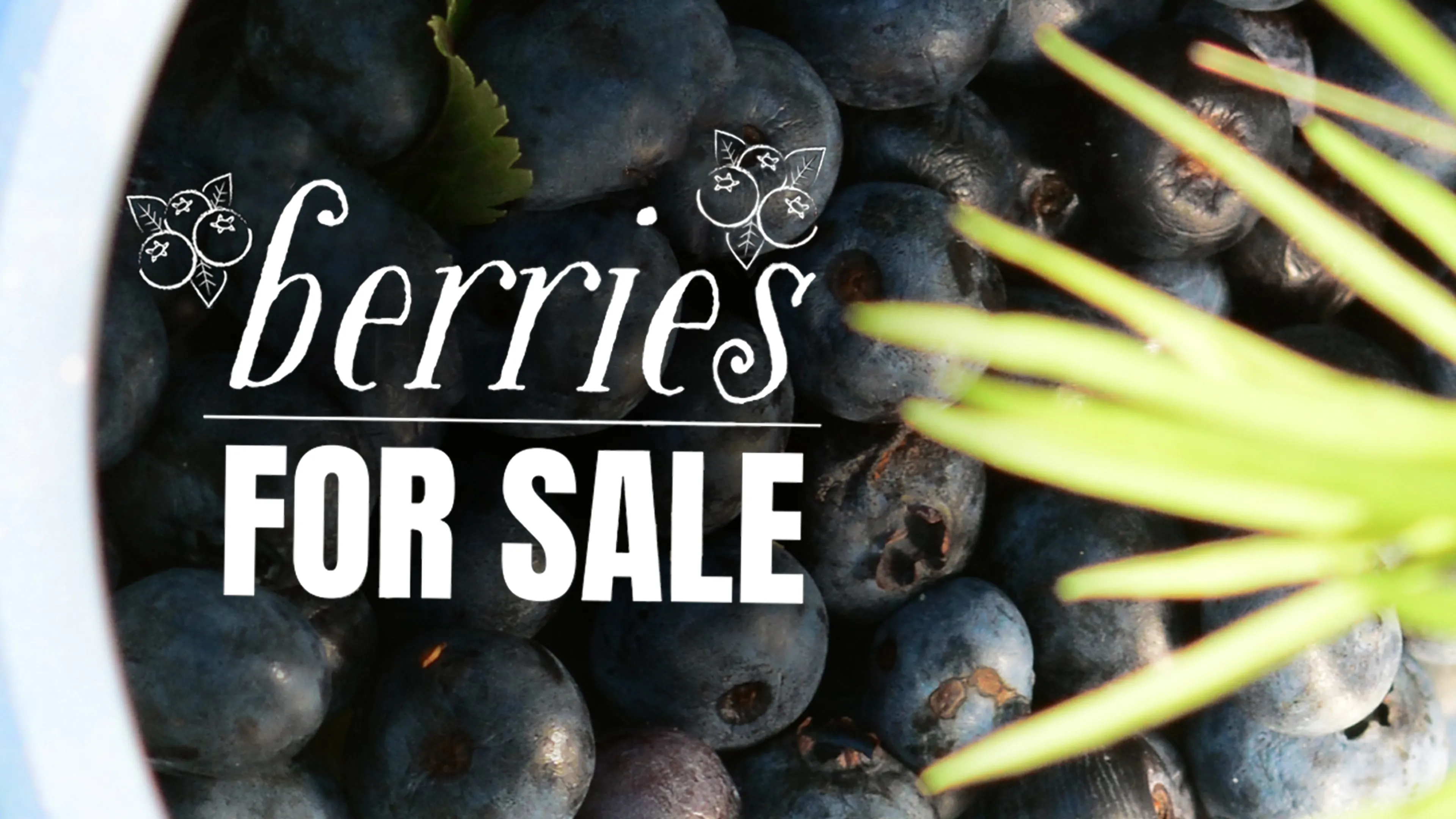 Berries For Sale poster